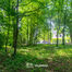 Bouwgrond te koop in Asse