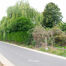 Bouwgrond te koop in Dilbeek