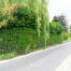 Bouwgrond te koop in Dilbeek