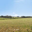 Bungalow te koop in Asse
