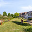 Huis te koop in Asse