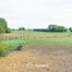 Huis te koop in Asse