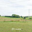 Huis te koop in Asse