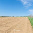 Landbouwgrond te koop in Asse