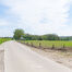 Landbouwgrond te koop in Asse