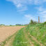 Landbouwgrond te koop in Asse