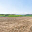 Landbouwgrond te koop in Asse