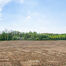 Landbouwgrond te koop in Asse