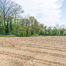 Landbouwgrond te koop in Asse