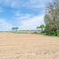 Landbouwgrond te koop in Asse