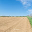 Landbouwgrond te koop in Asse