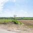 Landbouwgrond te koop in Asse
