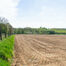Landbouwgrond te koop in Asse