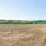 Landbouwgrond te koop in Asse