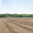 Landbouwgrond te koop in Asse