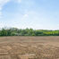 Landbouwgrond te koop in Asse