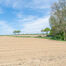 Landbouwgrond te koop in Asse