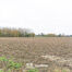 Landbouwgrond te koop in Opwijk