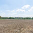 Terrain agricole à vendre à Affligem