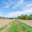 Terrain agricole à vendre à Affligem