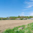 Terrain agricole à vendre à Affligem