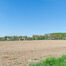 Terrain agricole à vendre à Affligem