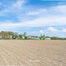 Terrain agricole à vendre à Affligem