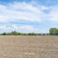 Terrain agricole à vendre à Affligem