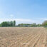 Terrain agricole à vendre à Affligem
