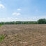 Terrain agricole à vendre à Affligem