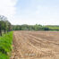 Terrain agricole à vendre à Asse
