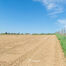 Terrain agricole &agrave; vendre &agrave; Asse