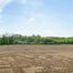 Terrain agricole &agrave; vendre &agrave; Asse