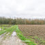 Terrain agricole à vendre à Opwijk