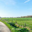 Terrain agricole &agrave; vendre &agrave; Opwijk