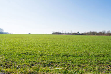 Landbouwgrond te koop in Baardegem