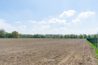 Terrain agricole à vendre à Affligem