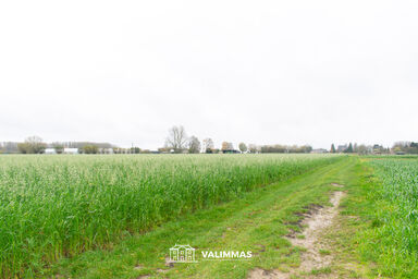 Terrain agricole à vendre à Baardegem