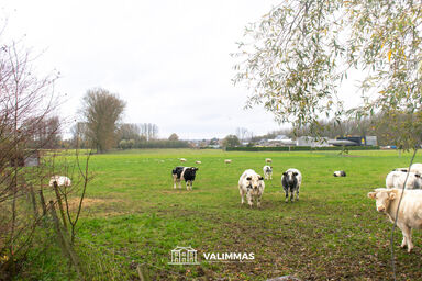 Weide te koop in Opwijk